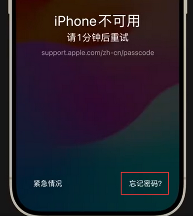 鹿寨苹果手机密码维修分享iPhone忘记了刚设置的密码 
