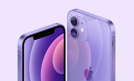 鹿寨苹果手机维修分享紫色版iPhone 12有什么技术亮点 