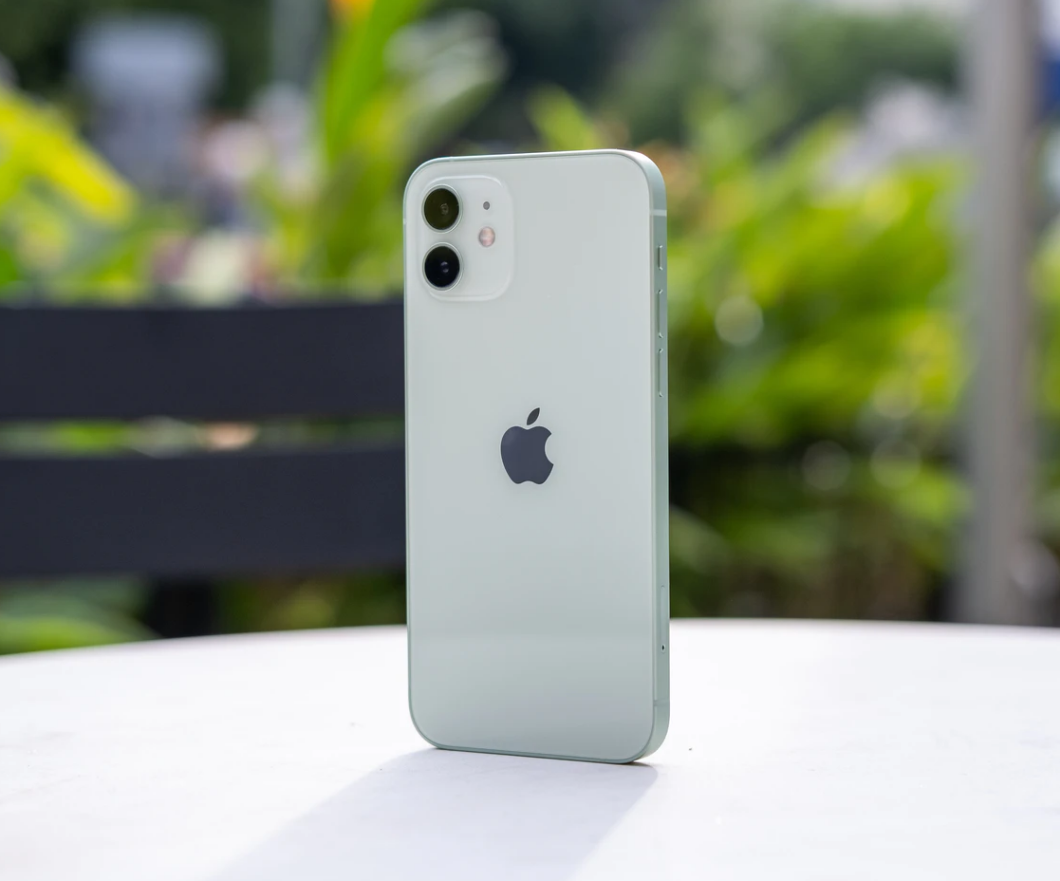 鹿寨苹果手机维修分享iPhone 12 不慎落入水中如何处理 